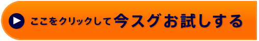 ここをクリックして今すぐお試しする